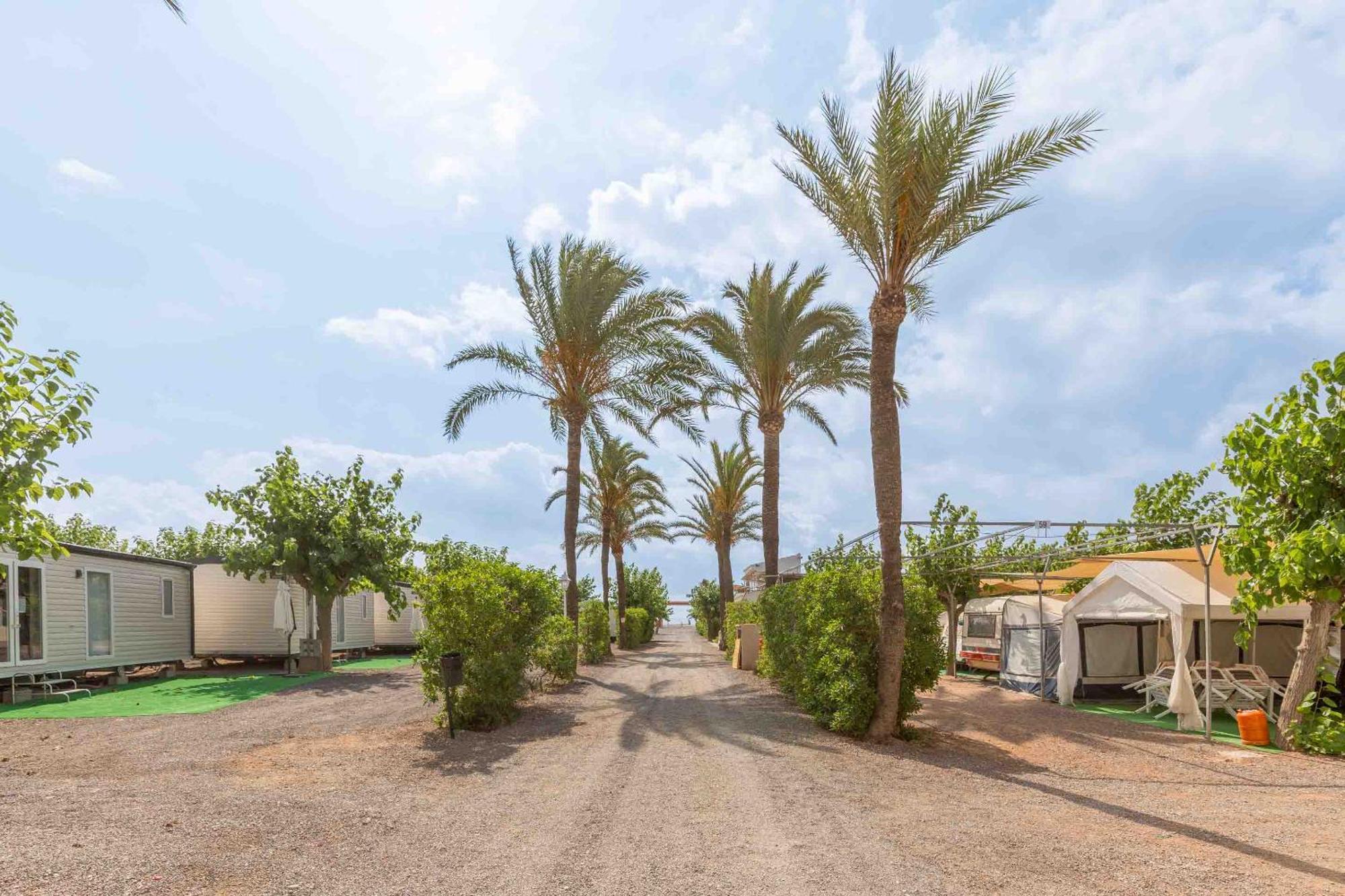 Tres Estrellas Mediterraneo Xilxes (Castellon)